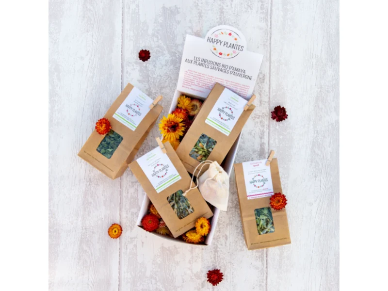Coffret tisane bio, infusions aux plantes sauvages d'Auvergne