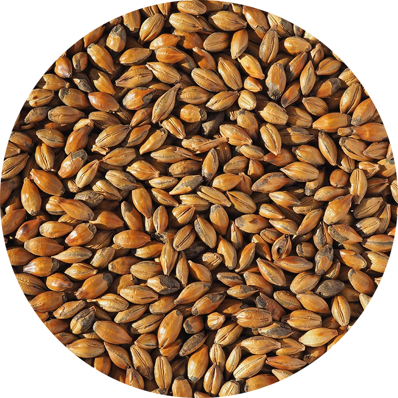 CRISP BROWN MALT 120-150 EBC