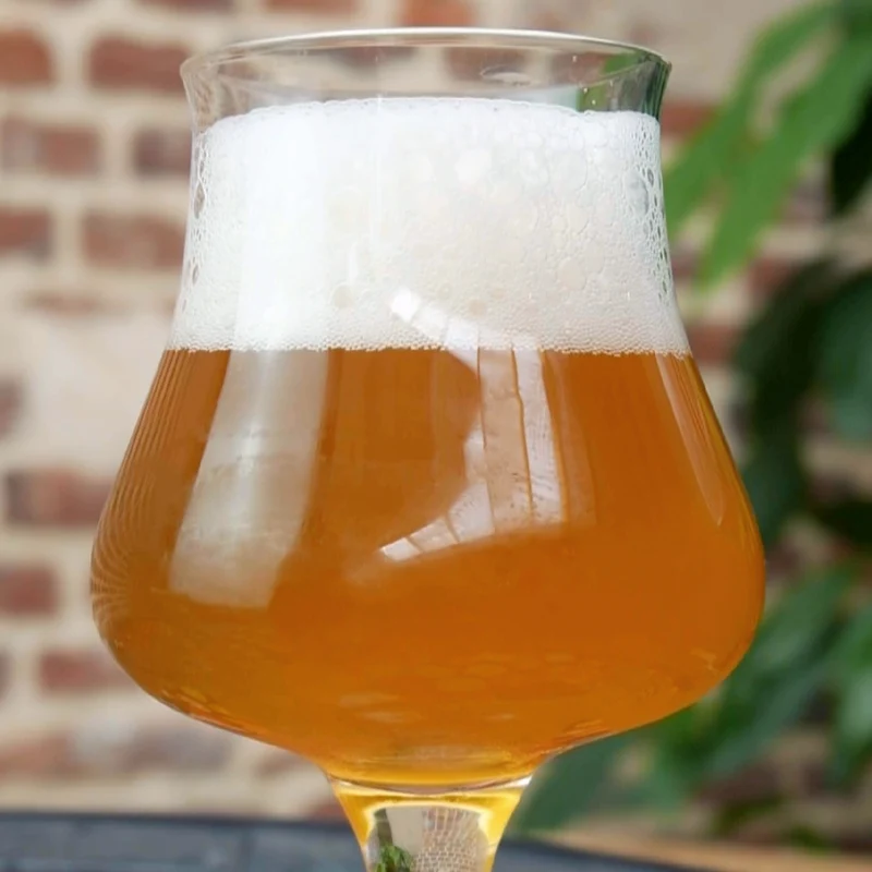 SAISON V - KIT BIÈRE TOUT-GRAIN