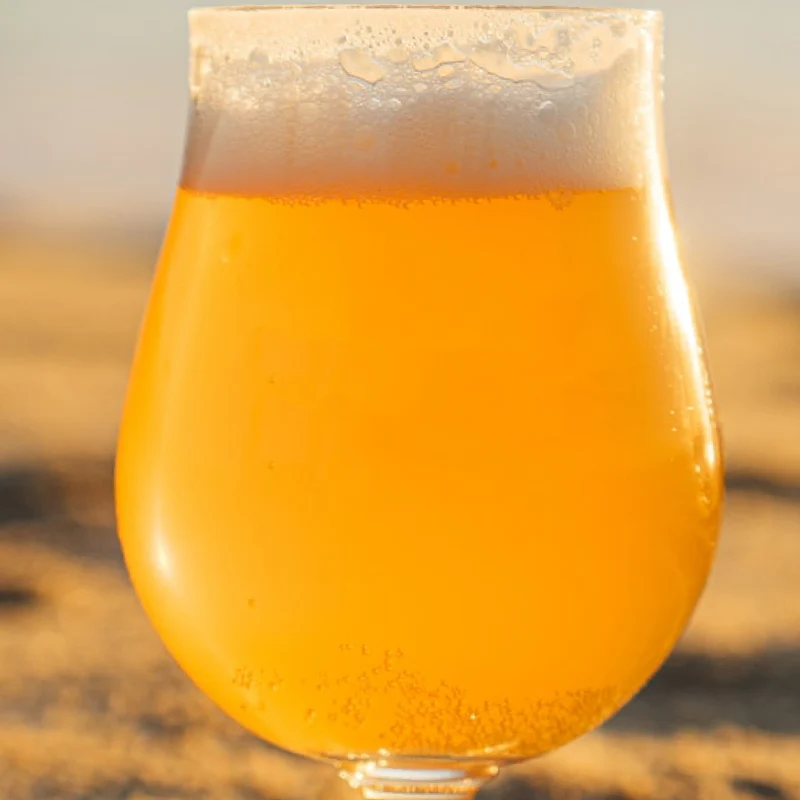 WHITE IPA - KIT BIÈRE TOUT-GRAIN