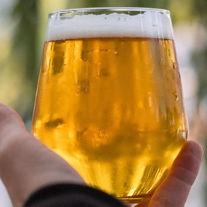 PSEUDO-LAGER D'ALSACE - KIT BIÈRE TOUT-GRAIN