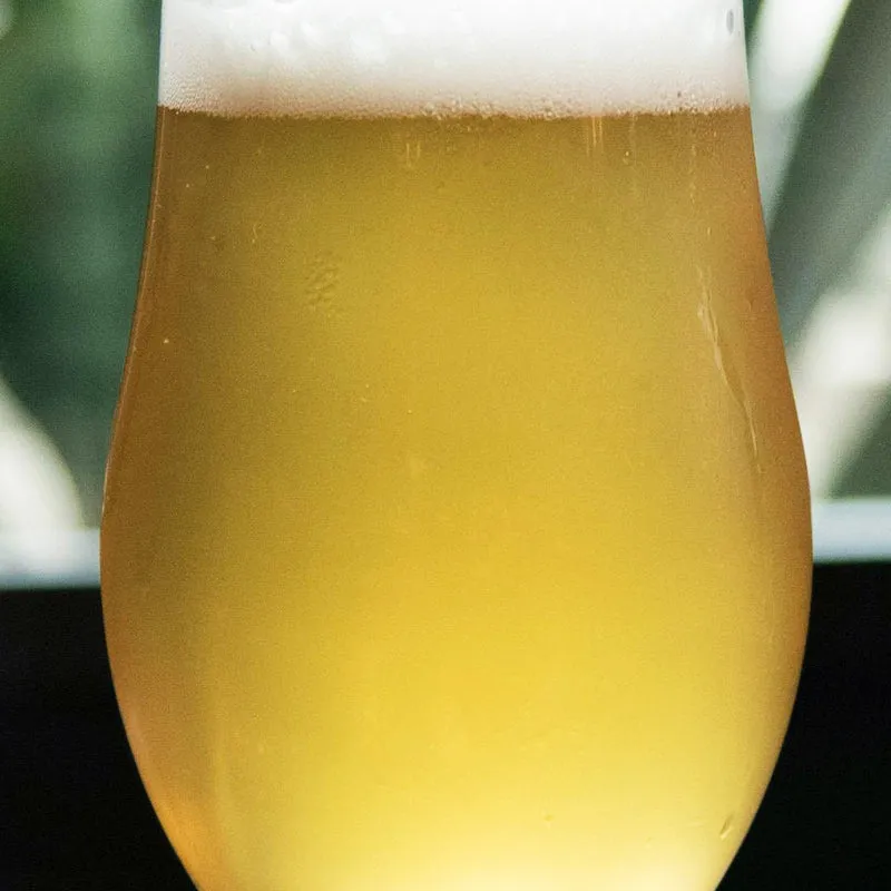 MOTLER WEISSE - BERLINER WEISSE - KIT BIÈRE TOUT-GRAIN