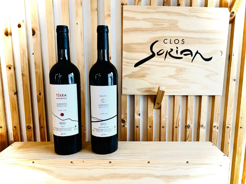 Coffret vin du Languedoc 2 bouteilles rouge AOP Languedoc la Méjanelle
