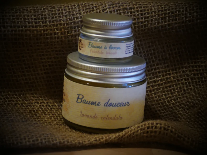 Baumes découverte