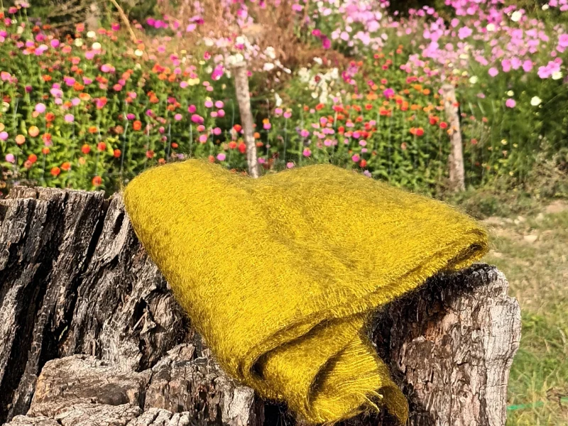 Une écharpe en Mohair