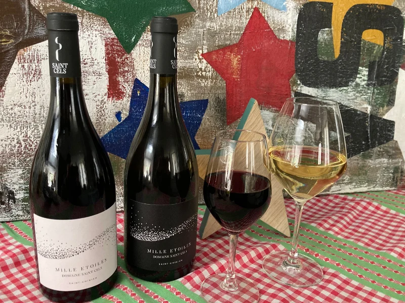 Coffret vin du Languedoc 2 bouteilles rouge et blanc AOP Saint Chinan
