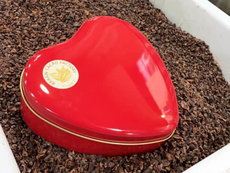 Le Coffret Coeur D'Amour x Doux rêves - Truffes et Fèves de Cacao cru