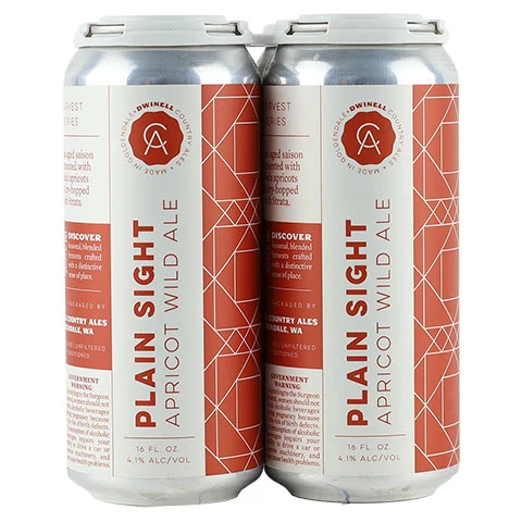 Dwinell Plain Sight Wild Ale