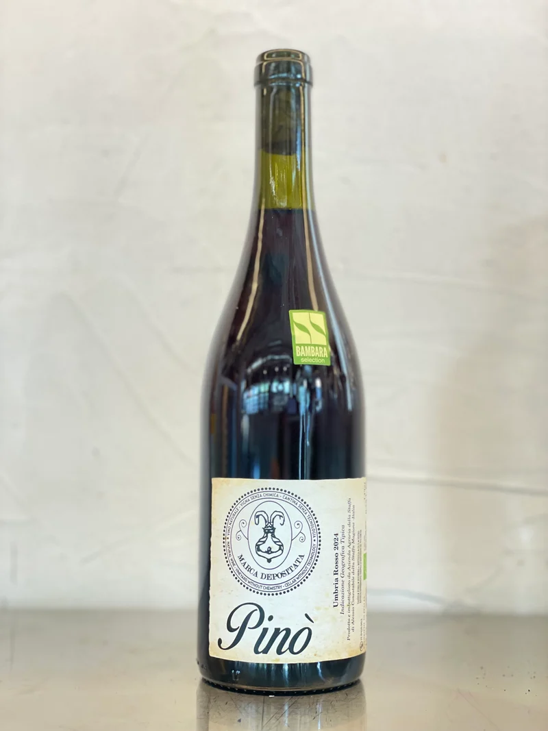 Pino