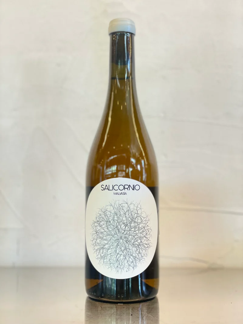 Salicornio Malvasia 2023