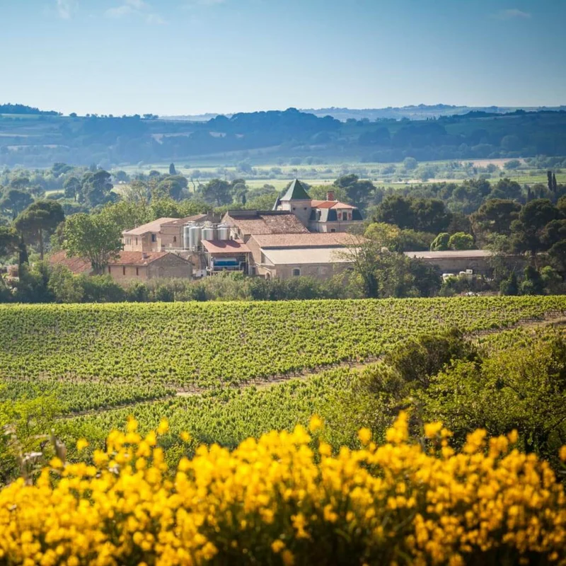 La Provenquière - Gris de Provenquière Rosé 0%