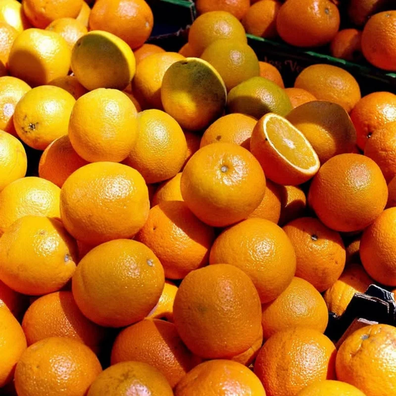 Orangeade bio - UMA