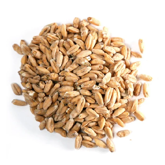 BEST SPELT (MALT EPEAUTRE ) 4-6 EBC