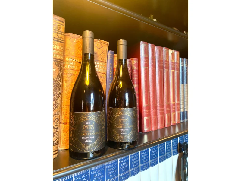 2 bouteilles de Bourgogne Blanc