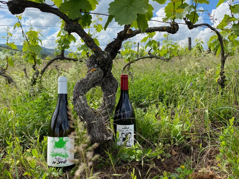 Coffret vin du Beaujolais 2 bouteilles rouge et blanc AOC Beaujolais