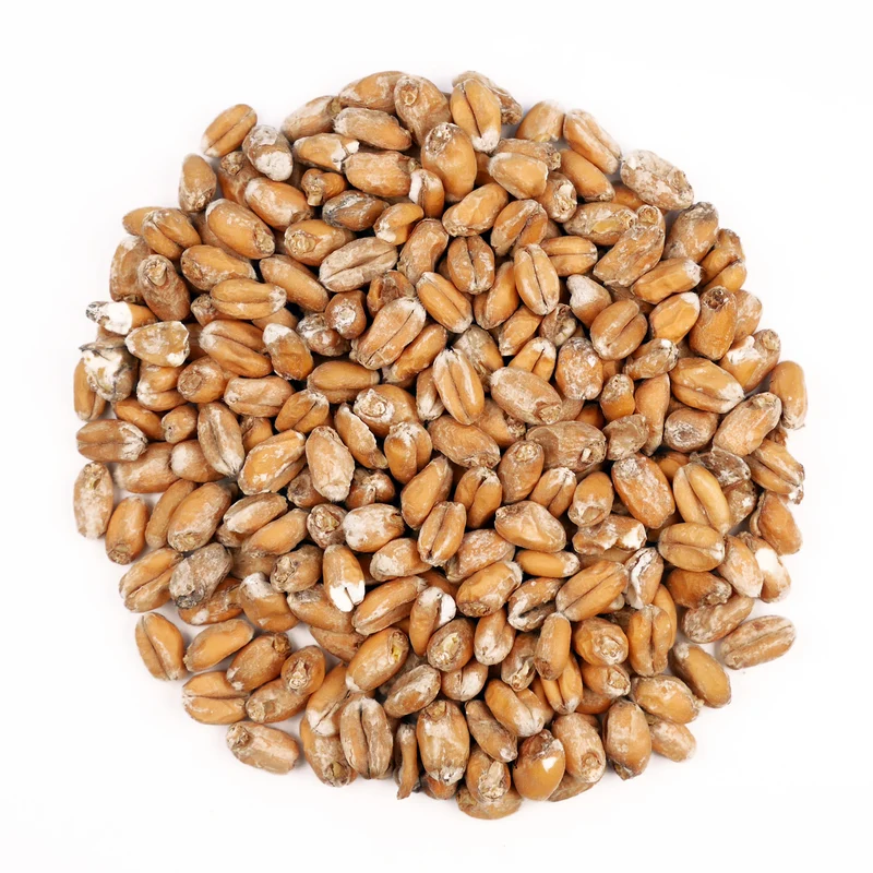 BEST WHEAT (MALT FROMENT) 3 EBC