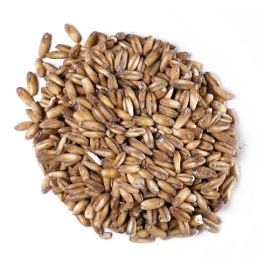 BEST OAT MALT (MALT AVOINE) 3-8 EBC