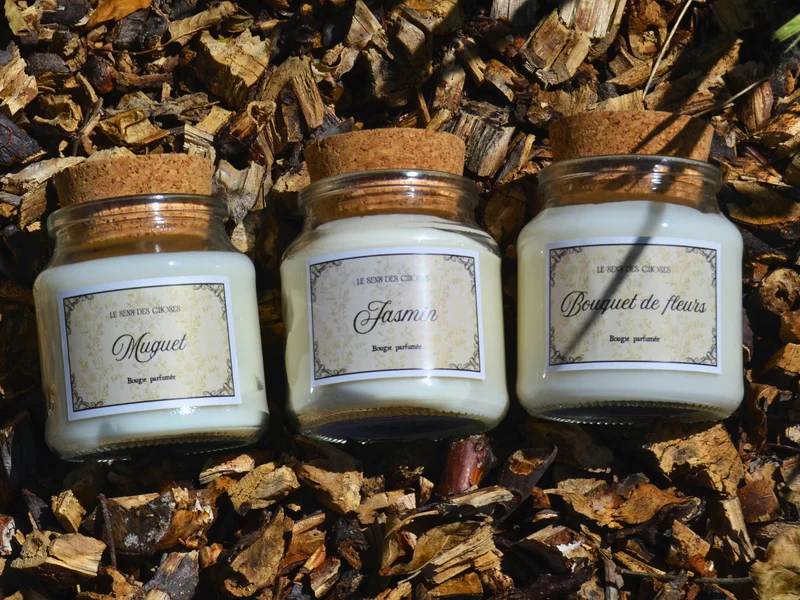 Trio de bougies végétales parfumées