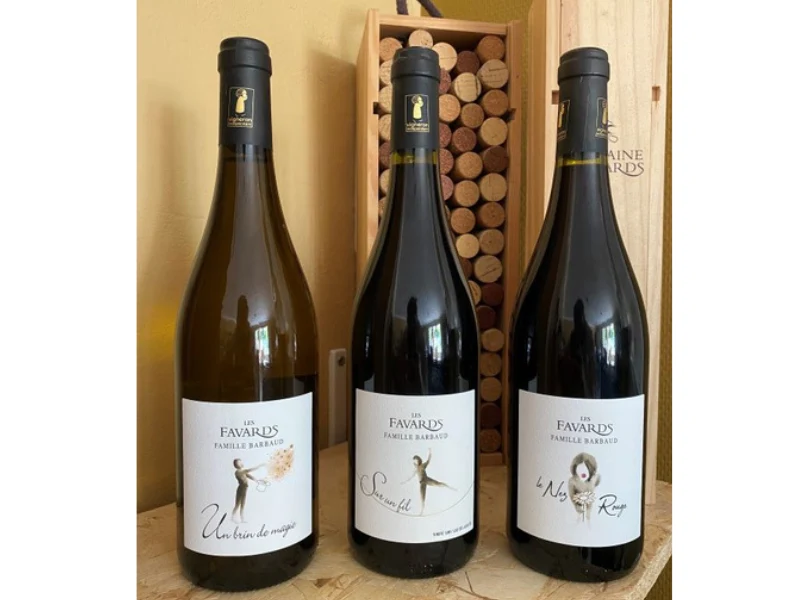 COFFRET VIN DU RHÔNE BIO 3 BOUTEILLES BLANC/ROUGE AOC CÔTES-DU-RHÔNE