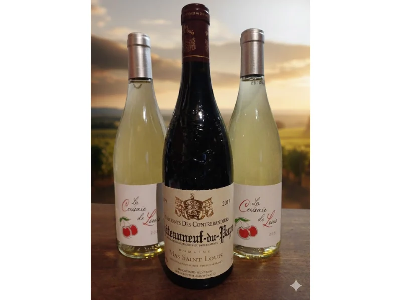 Coffret 3 bouteilles Châteauneuf du Pape & Vin de France