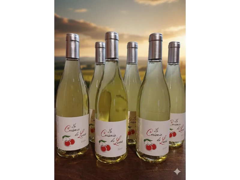 Coffret 6 Vins de France Blanc 2021