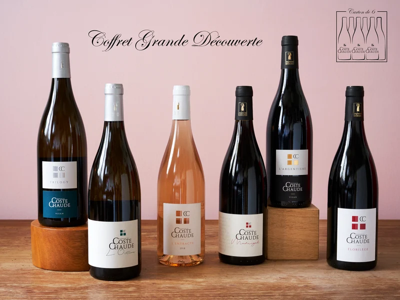 Coffret vin du Rhône Grande Découverte BIO Domaine de Coste Chaude 6 bouteilles rouge, blanc et rosé AOC Côtes-du-Rhône Villages Visan