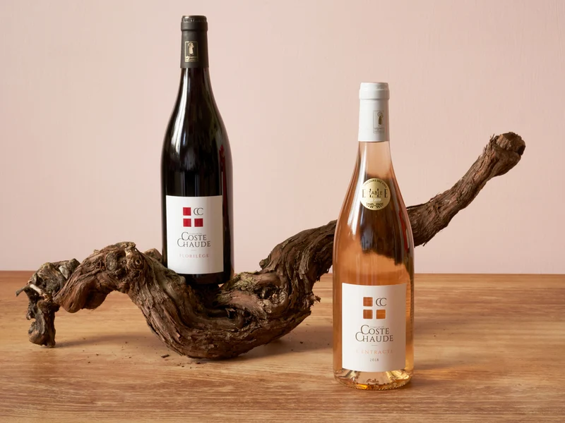 Coffret vin du Rhône apéro BIO 2 bouteilles rouge et rosé AOC Côtes-du-Rhône Villages Visan