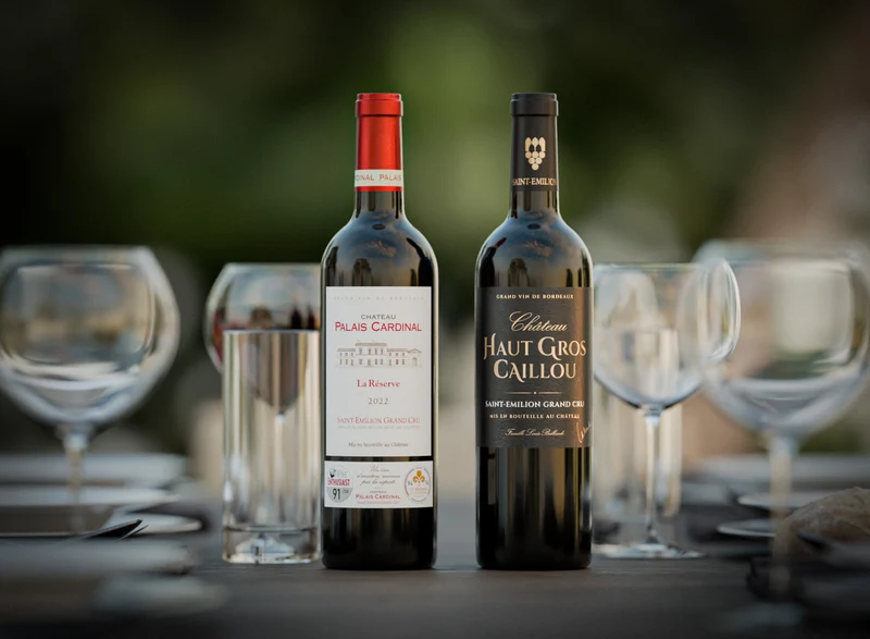 Coffret vin pépites en Saint-Emilion Grand Cru