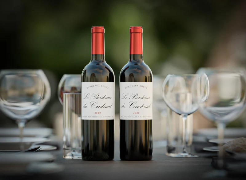 Coffret vin de Bordeaux 2 bouteilles rouge AOC Bordeaux