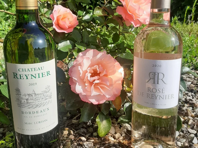 COFFRET DEUX COULEURS ET BIO 2 BOUTEILLES blanc et rosé AOC Bordeaux