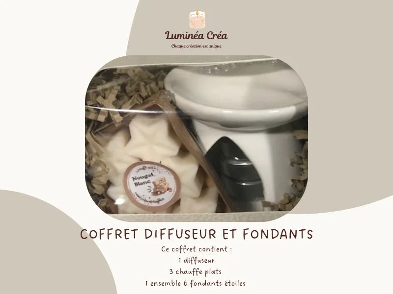 Coffret 1 diffuseur et 1 ensemble fondants parfumés