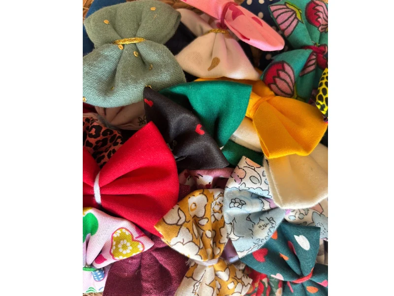 BOX BARRETTES MERVEILLE
