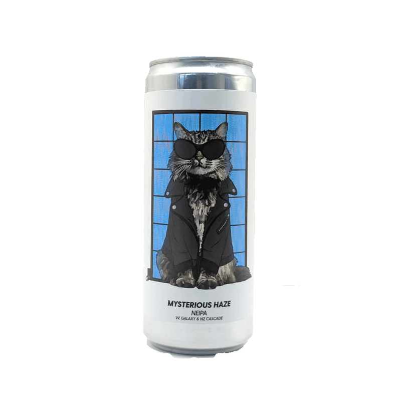 Brewski collab' Lough Gill - Mysterious Haze 33cl | NEIPA