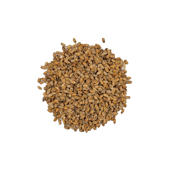 Malt Wheat Dark / Blé Noisette - BEST - 16 à 20 EBC