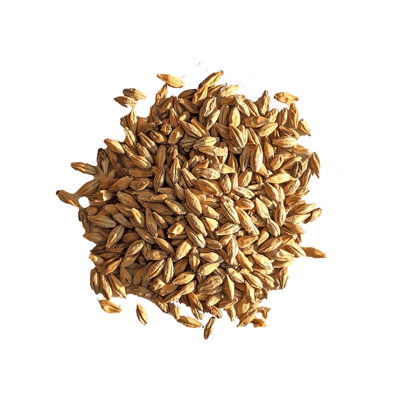 Malt Diastatique / Whisky - BEST - 3 à 5 EBC