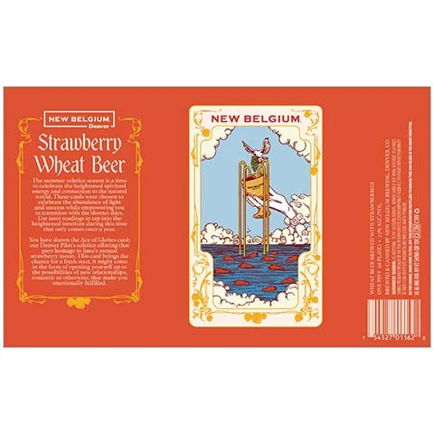 New Belgium Strawberry Wheat Beer