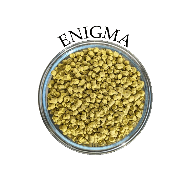 Houblon Enigma (AU)