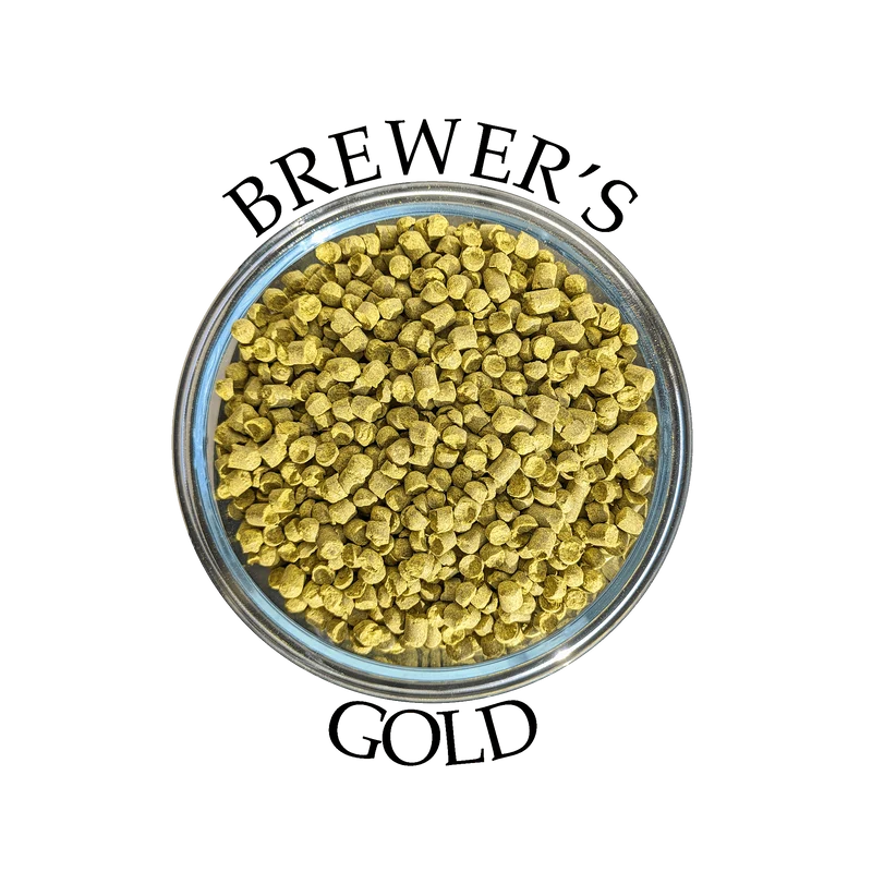 Houblon Brewer's Gold (FR)