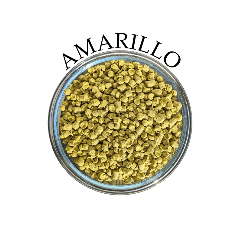 Houblon Amarillo (US)