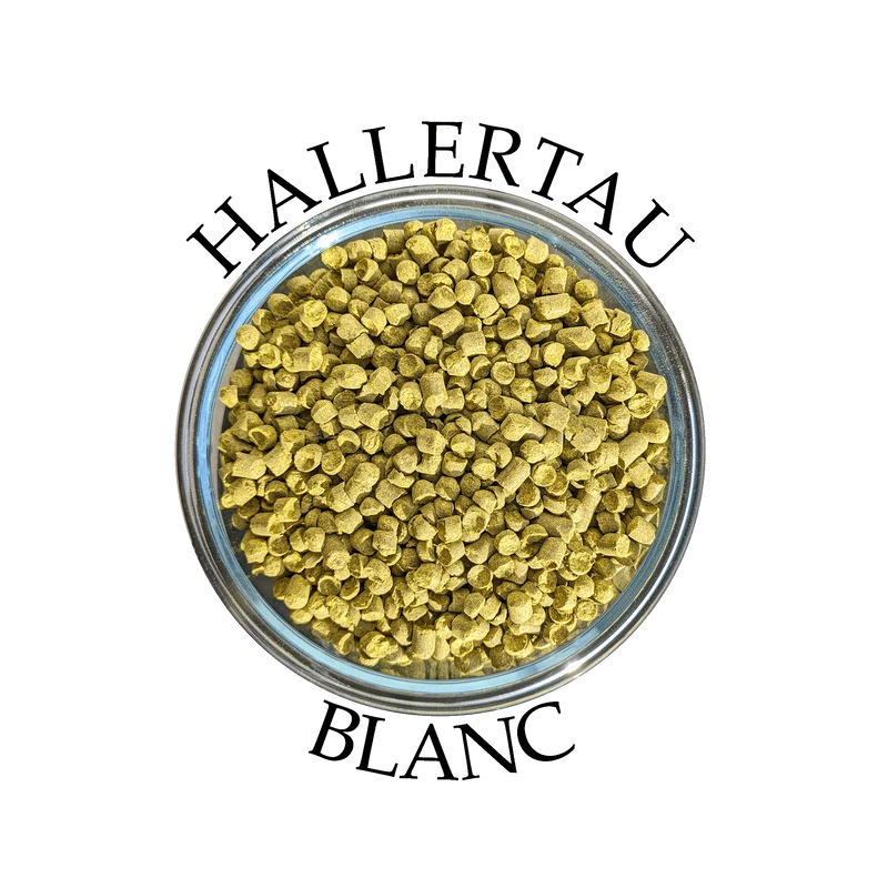 Houblon Hallertau Blanc (DE)