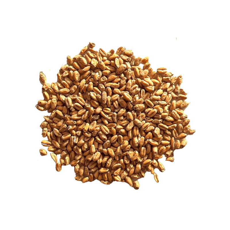 Malt de Blé - BEST - 3.5 à 6 EBC