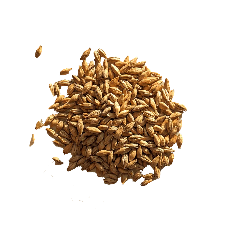 Malt Fumé- BEST - 3 à 8 EBC