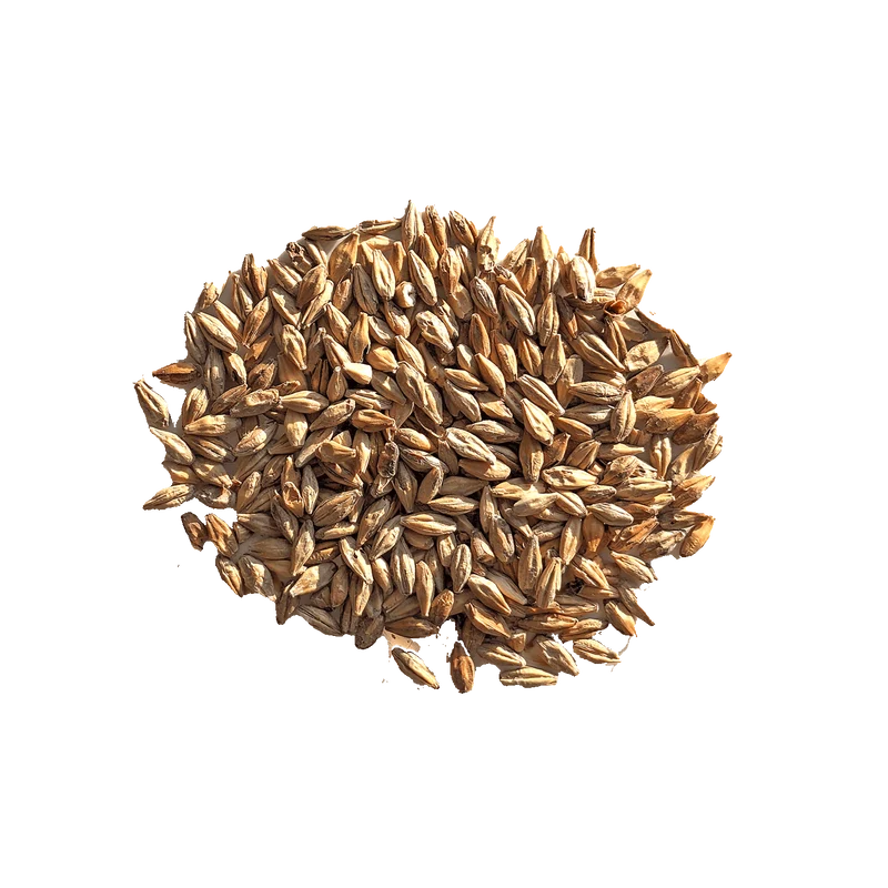 Malt Caramel Munich III - BEST - 131 à 200 EBC