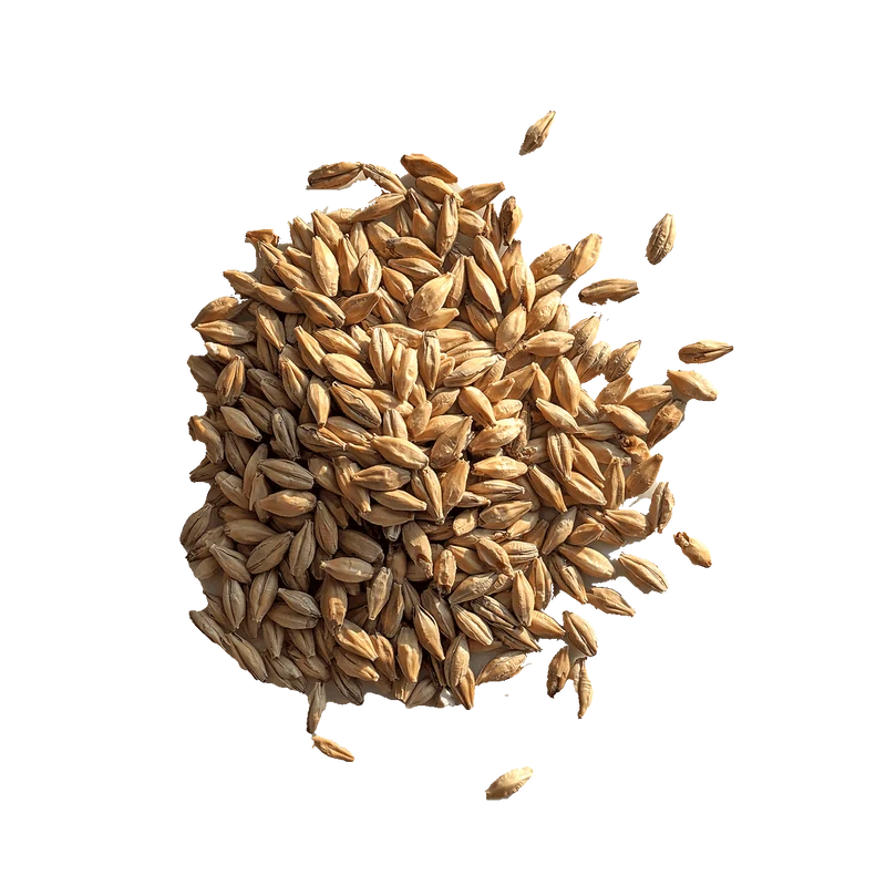 Malt Red X - BEST - 28 à 32 EBC