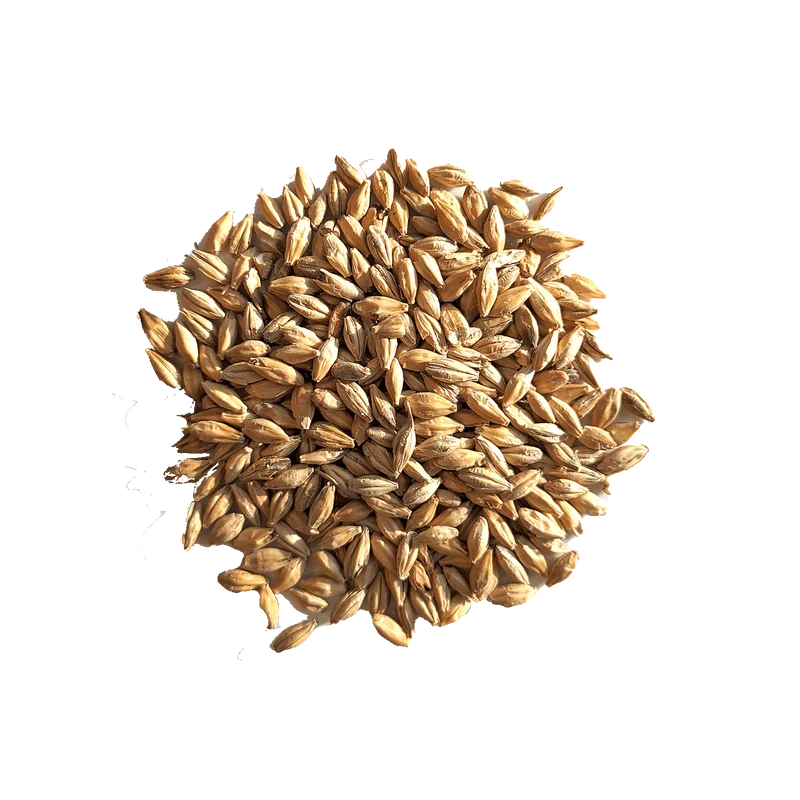 Malt Munich - BEST - 11 à 20 EBC