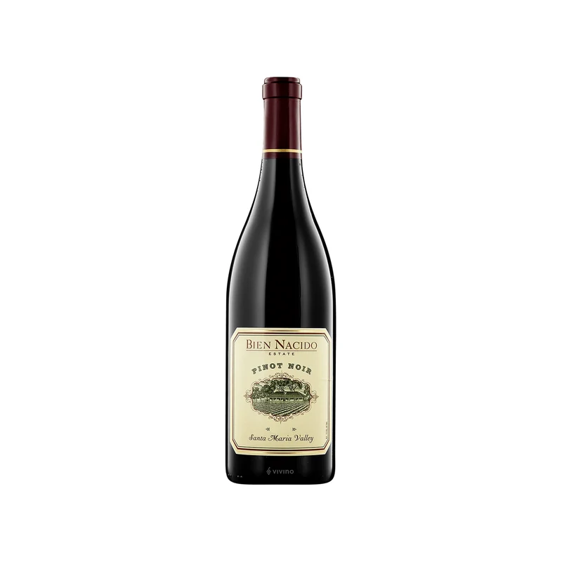 2019 Bien Nacido Pinot Noir