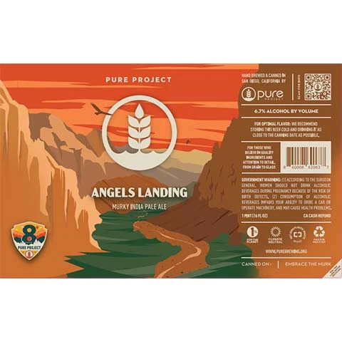Pure Project Angels Landing Murky IPA