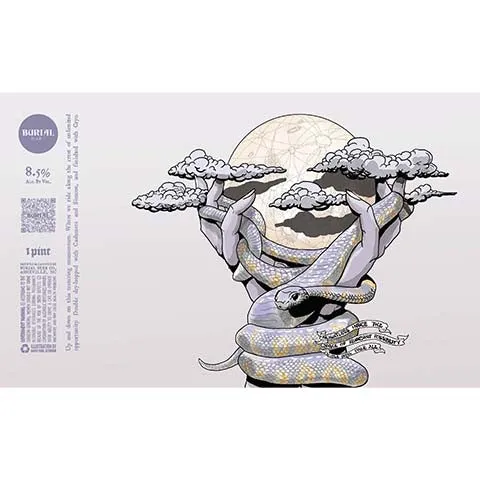 Burial Weightless Inside The Space Of Abundant Possibility DIPA
