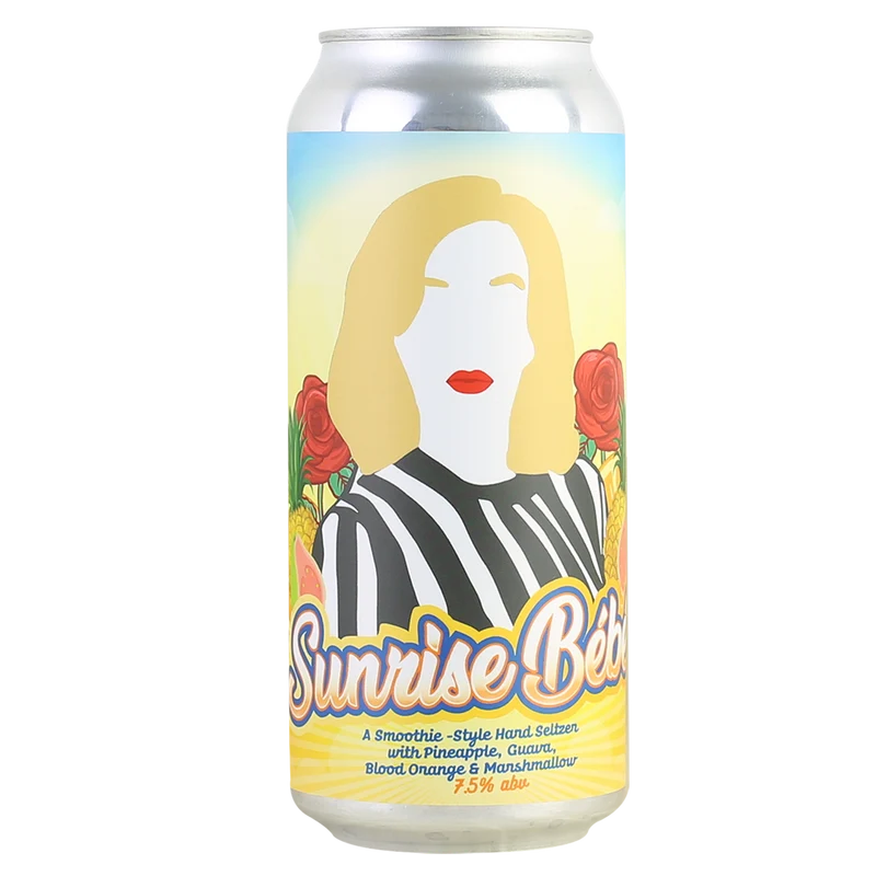 Hop Capital Smoothie Style Hard Seltzer Gift Box Set