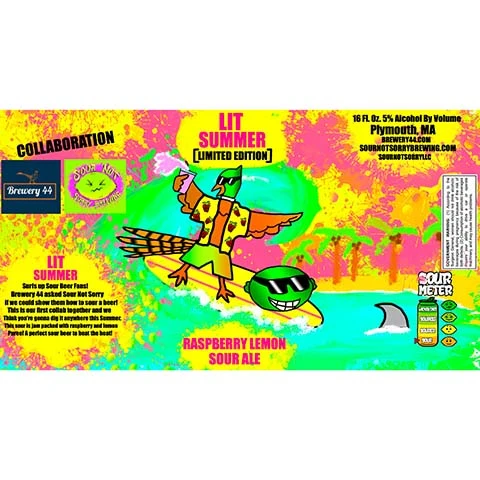 Sour Not Sorry Lit Summer Sour Ale